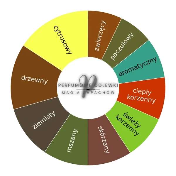 V Canto Fili ekstrakt perfum - odlewka perfum koło aromatów