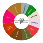 Wardasina EDP - odlewka perfum koło aromatów