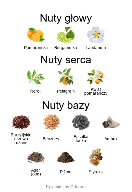 Xerjoff Kobe ekstrakt perfum - piramida zapachów