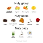 Golden Moka ekstrakt perfum - piramida zapachów