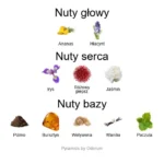 Accento EDP - piramida zapachów