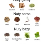 Luxor ekstrakt perfum - piramida zapachów