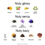 Cruz Del Sur II ekstrakt perfum - piramida zapachów