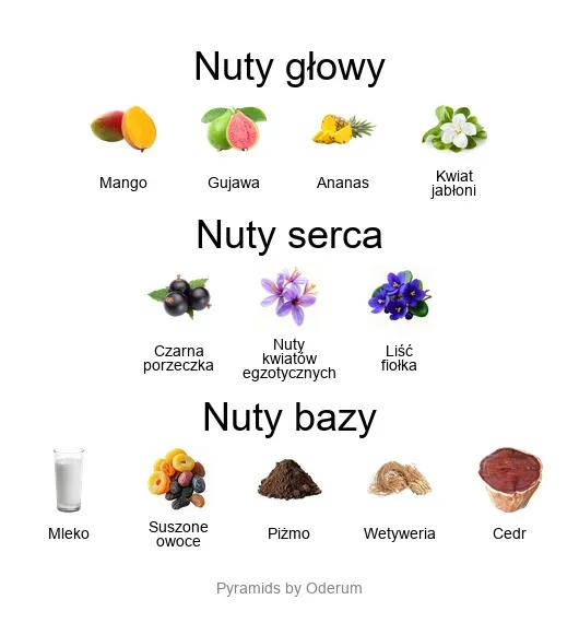 Xerjoff Cruz Del Sur II ekstrakt perfum - piramida zapachów