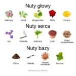 Pikovaya Dama ekstrakt perfum - piramida zapachów