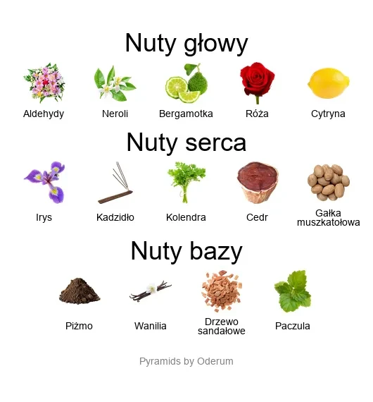Xerjoff Pikovaya Dama ekstrakt perfum - piramida zapachów