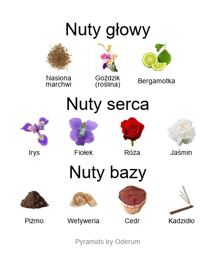 Xerjoff Irisss ekstrakt perfum - piramida zapachów