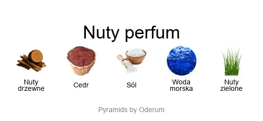 Xerjoff 40 Knots EDP - piramida zapachów
