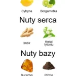 Uden Overdose ekstrakt perfum - piramida zapachów