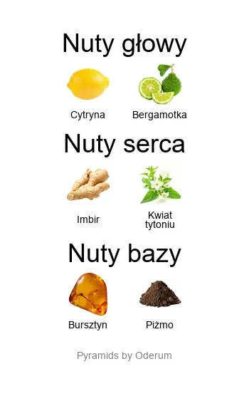Xerjoff Uden Overdose ekstrakt perfum - piramida zapachów