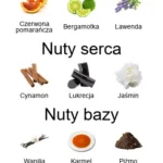 Lira EDP - piramida zapachów