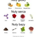 Lua ekstrakt perfum - piramida zapachów