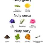 La Tosca EDP - piramida zapachów