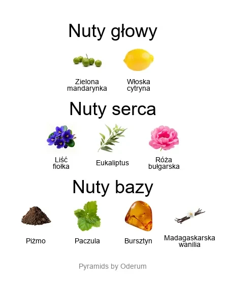 Xerjoff La Tosca EDP - piramida zapachów