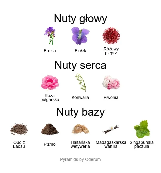 Xerjoff Jabir ekstrakt perfum - piramida zapachów