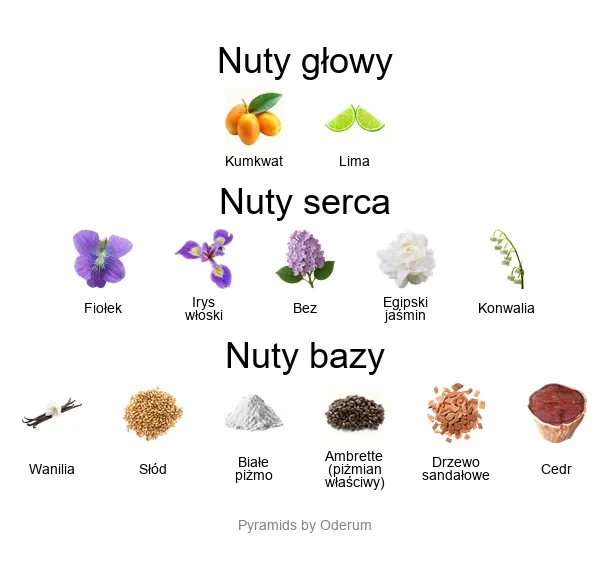 Xerjoff Dama Bianca EDP - piramida zapachów