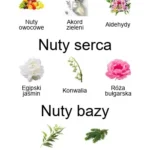 Accento Overdose EDP - piramida zapachów