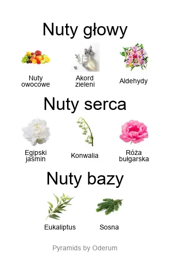 Xerjoff Accento Overdose EDP - piramida zapachów
