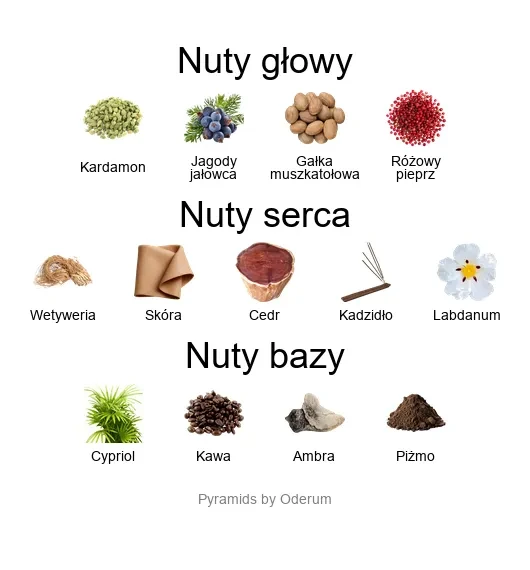 Xerjoff Golden Green ekstrakt perfum - piramida zapachów