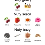 Wet Cherry Liquor ekstrakt perfum - piramida zapachów