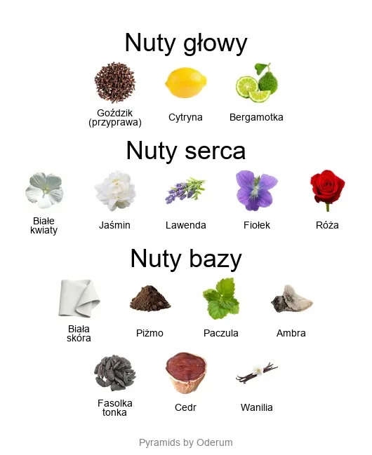 Bohoboco Jasmin White Leather ekstrakt perfum - piramida zapachów