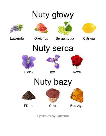 Xerjoff Mefisto Gentiluomo EDP - piramida zapachów