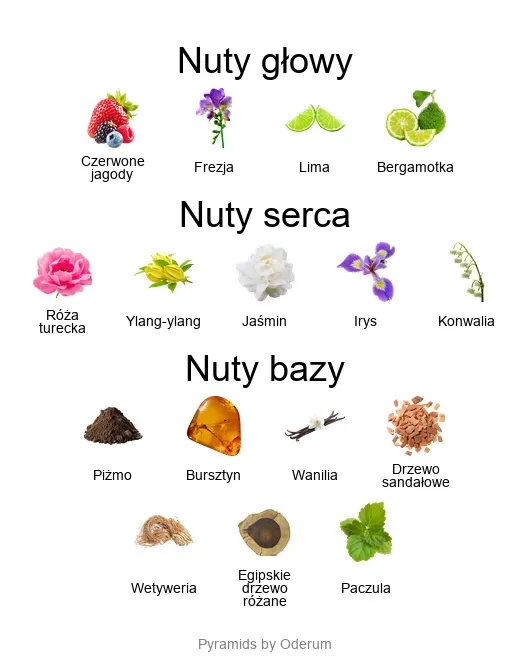 Xerjoff Damarose ekstrakt perfum - piramida zapachów
