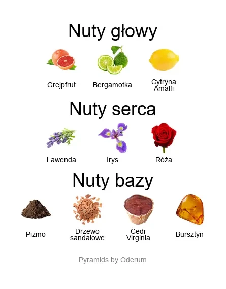 Xerjoff Mefisto EDP - piramida zapachów