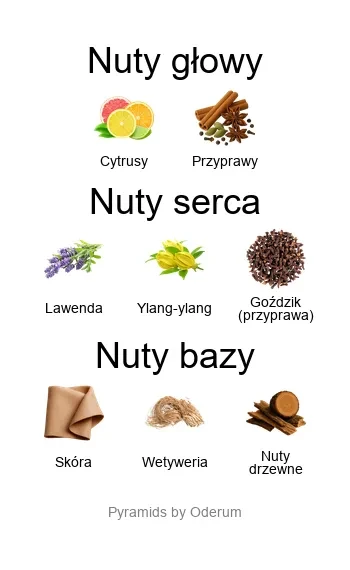 Xerjoff Homme ekstrakt perfum - piramida zapachów