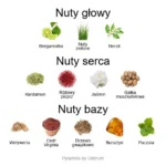Nio ekstrakt perfum - piramida zapachów