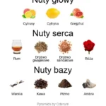 Uden ekstrakt perfum - piramida zapachów