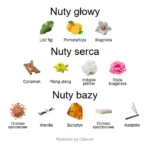 Ouverture EDP - piramida zapachów