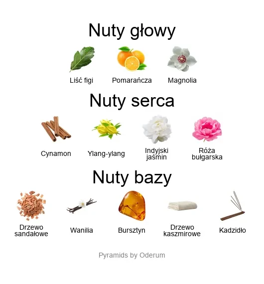 Xerjoff Ouverture EDP - piramida zapachów