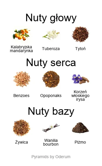 Xerjoff XJ 1861 Decas EDP - piramida zapachów