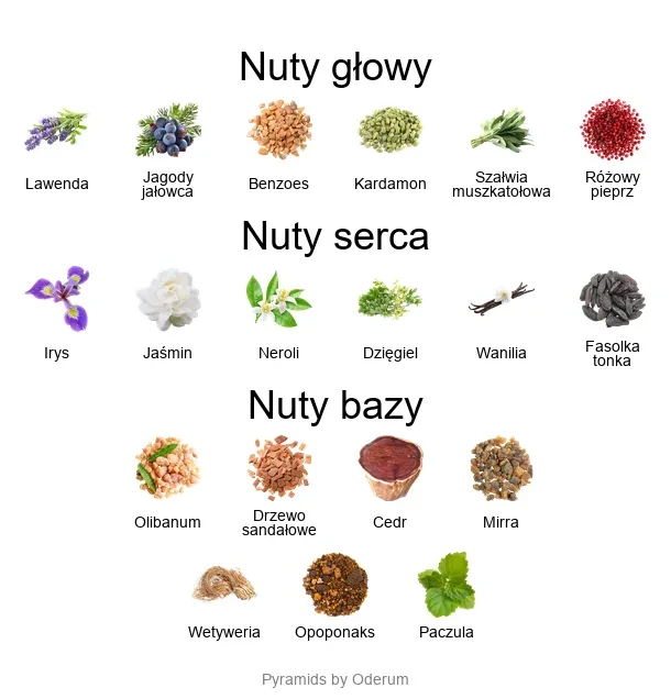 Amouage Reflection 45 Man ekstrakt perfum - piramida zapachów