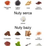 Boccanera ekstrakt perfum - piramida zapachów