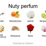 Allure EDP - piramida zapachów
