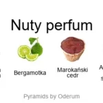 Bohemian Lime ekstrakt perfum - piramida zapachów