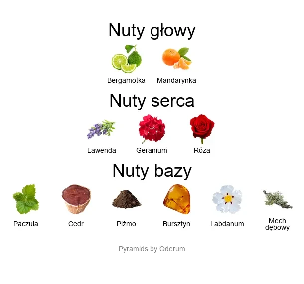 Orto Parisi Brutus ekstrakt perfum - piramida zapachów