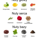 Amans ekstrakt perfum - piramida zapachów