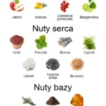Arsenico ekstrakt perfum - piramida zapachów