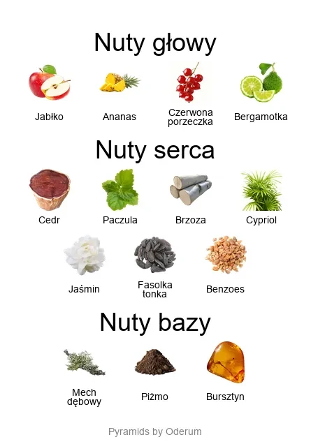 V Canto Arsenico ekstrakt perfum - piramida zapachów