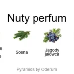Blue Santal EDP - piramida zapachów