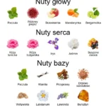 Allure Sensuelle EDP - piramida zapachów