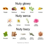 Cianuro ekstrakt perfum - piramida zapachów