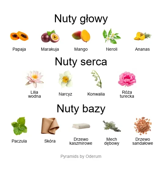V Canto Cianuro ekstrakt perfum - piramida zapachów