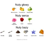 Cicuta ekstrakt perfum - piramida zapachów