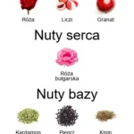 Rose de Petra EDP - piramida zapachów