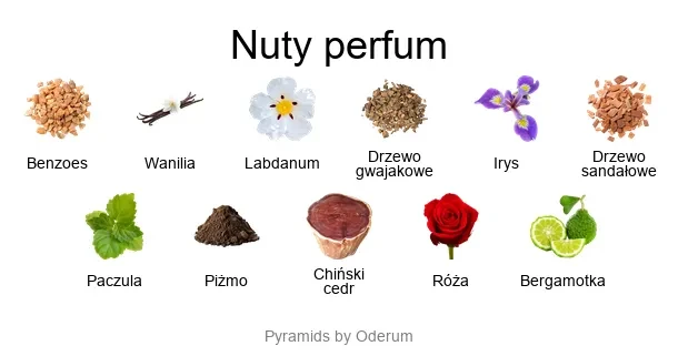 Stephane Humbert Lucas 777 Taklamakan EDP - piramida zapachów