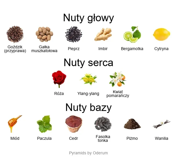 Kajal Joorie EDP - piramida zapachów
